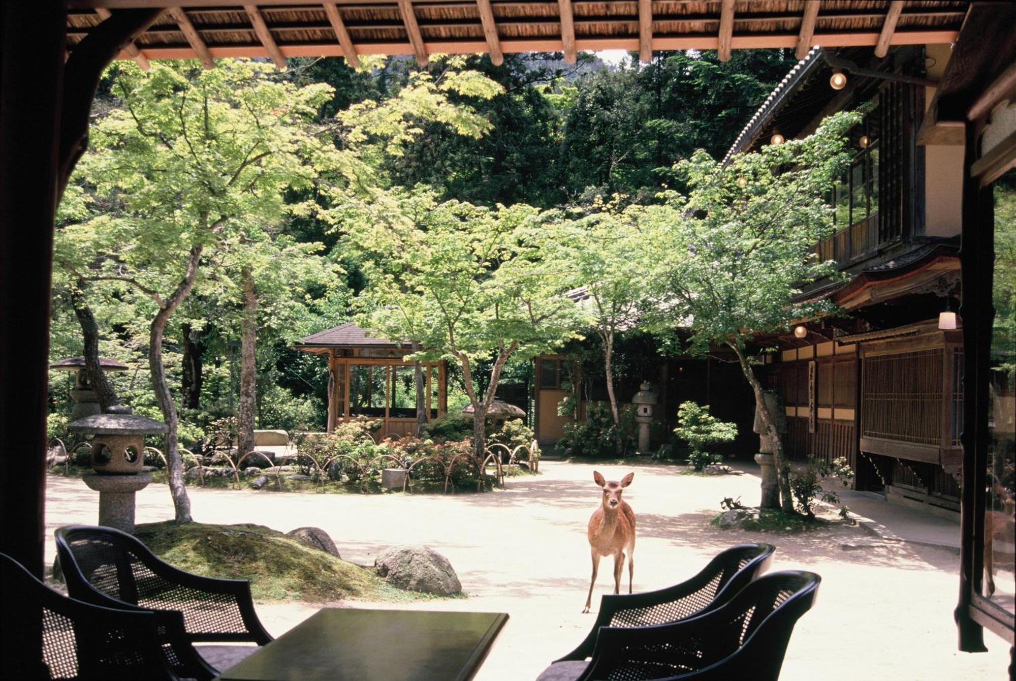 Hotel Iwaso Hatsukaichi Exterior foto